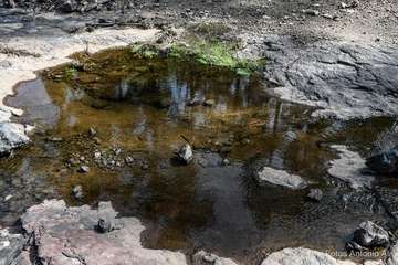 De ruta por el macizo de Tamadaba/Antonio Ali.